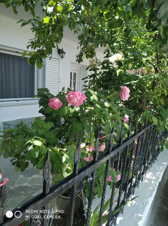 شقة Chrysanty'S Tea House كالامباكا المظهر الخارجي الصورة
