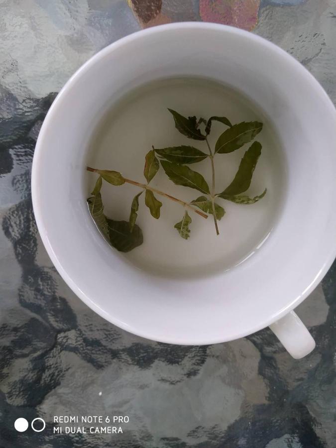 شقة Chrysanty'S Tea House كالامباكا المظهر الخارجي الصورة